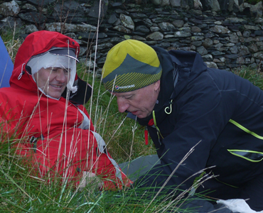 Snowdonia Peaks and Valleys